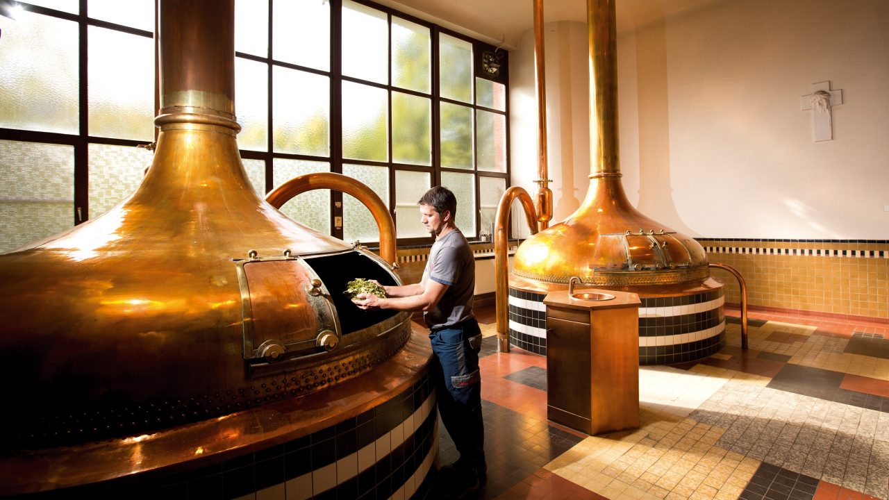 Westmalle Abadica Westmalle Abadica